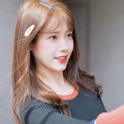 红翼行动
